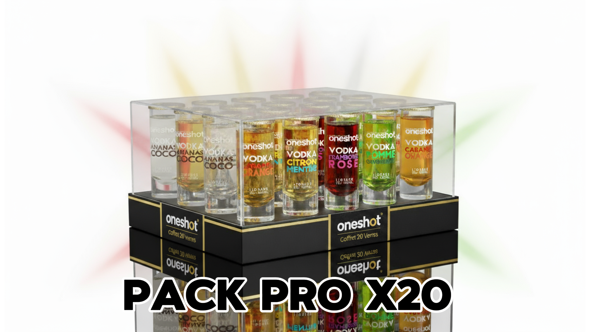 Édition Professionnel X20